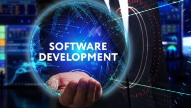 Information Software Development Key Roles Trends and Skills